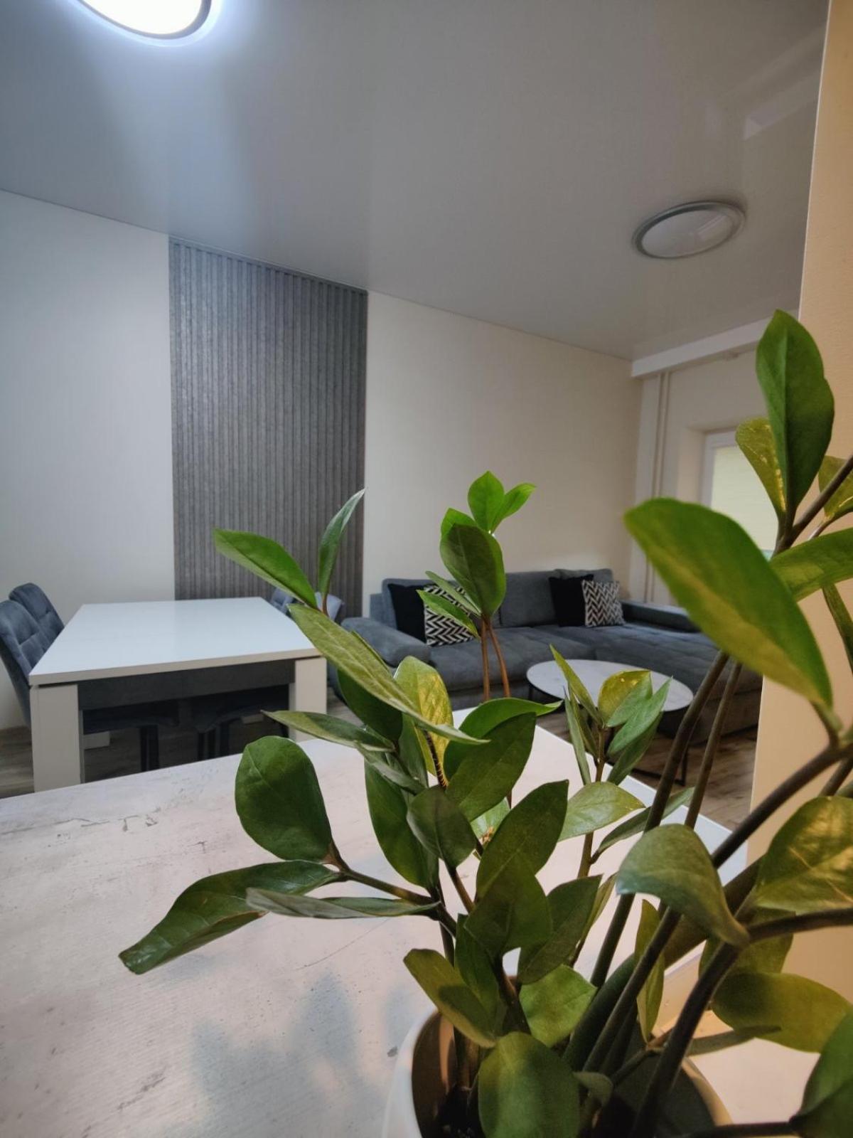 V15 Apartment 德拉肯恩凯 外观 照片